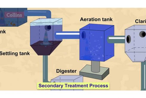 How do wastewater treatment plants work?