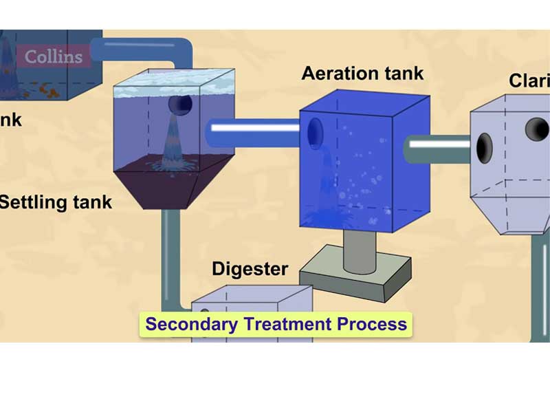 How do wastewater treatment plants work?